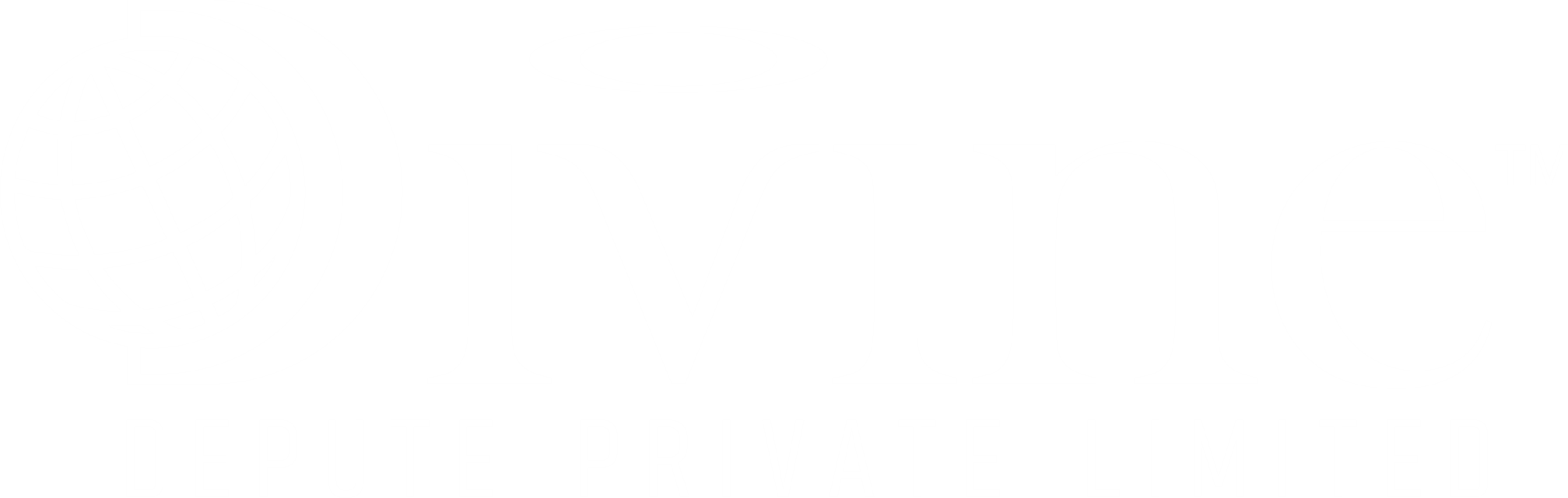 Divine Depute Pvt Ltd