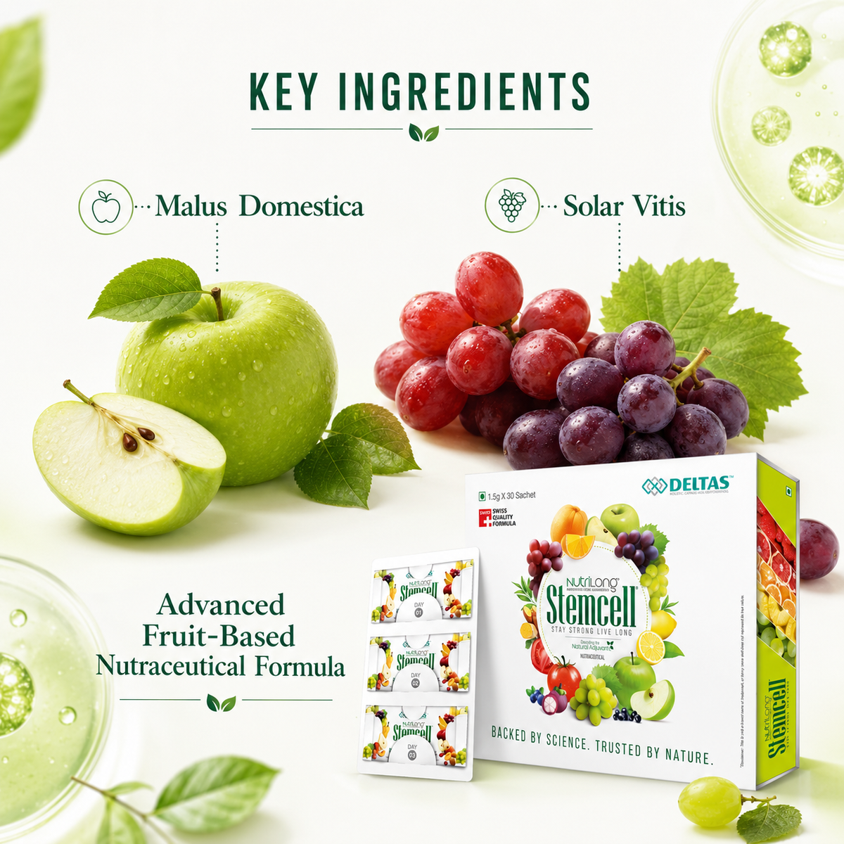 Nutrilong Stemcell cellular wellness supplement presentation